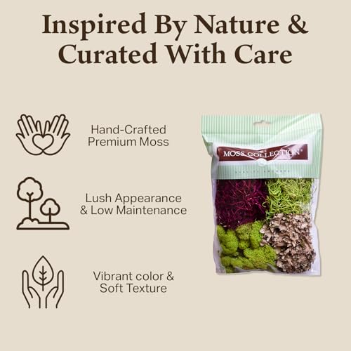Quality Growers - The Moss Collection Variety Pack - Natural Decorative Moss - Crafts, Home Decor, Art, Design & DIY Projects - Non-Toxic - Made in USA - Red Mix, Small, 2-Pack - color: Red Mix, size: Small (2-Pack)
