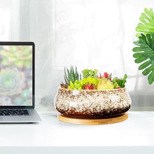 ARTKETTY Succulent Pots - 8 Inch Plant Pot, Large Bonsai Pots with Drainage Tray, Ceramic Planters for Indoor Outdoor Plants, Round Shallow Cactus Flower Plant Container Bowl Decorative Home Garden - color: White