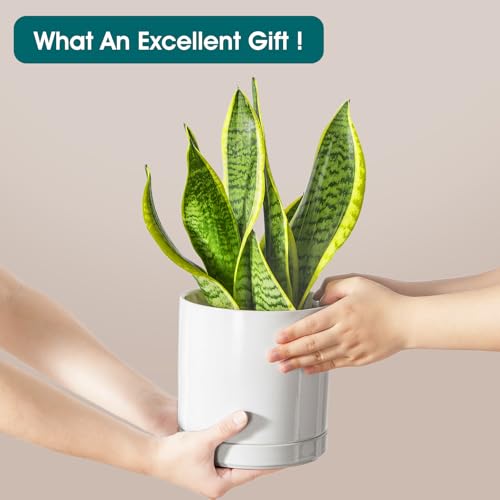 vancasso Ceramic Plant Pots, 6.25 Inch Ceramic Pot for Plants, Planters Pots for Indoor Plants with Drainage Holes, Flower Pot for Indoor House Plant, White - color: White, size: 6.25 Inch