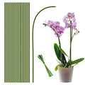 20Pcs Plant Stakes,Plant Sticks,Garden Green Bendable Single Stem Plant Support Stakes for Indoor and Outdoor Plants,Potted Plants,Flowers Orchid Peony Rose-18 Inches - size: 18 Inches
