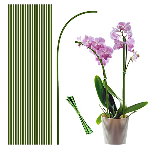 20Pcs Plant Stakes,Plant Sticks,Garden Green Bendable Single Stem Plant Support Stakes for Indoor and Outdoor Plants,Potted Plants,Flowers Orchid Peony Rose-16 Inches - size: 16 Inches