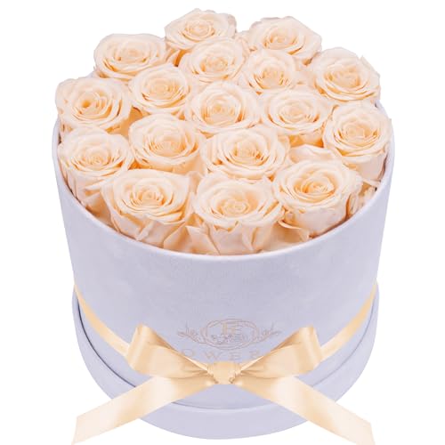 Prifroti 17 Flowers in a Luxury Suede Box, Birthday Gifts for Women, Preserved Flowers, Mothers Day Roses Gift for Mom, Champagne - color: Champagne, size: 17 Roses