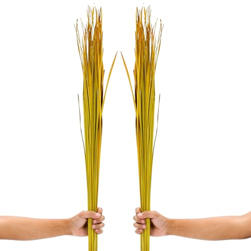Leewadee Tall Vase Filler , Natural Grass Stems – 2 Bunches of Colored Branches for Vases, Carefully Dried Twigs for Home and Bar Decoration, 45 inches, Yellow - color: Yellow, style: Dried Grass