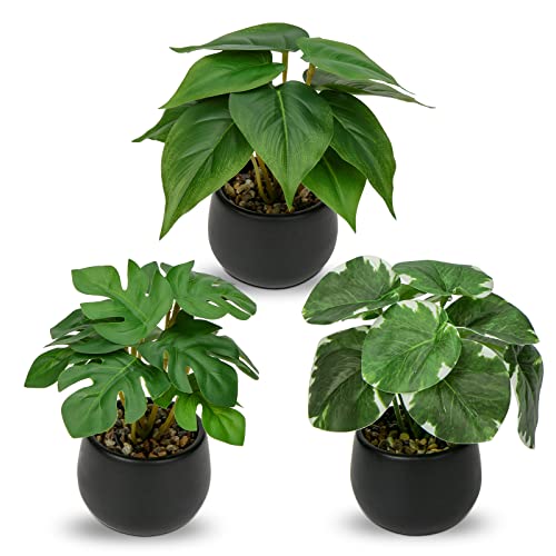 Briful 3PCS Fake Plants Potted Artificial Plants Mini Faux Plants in Black Ceramic Pots Greenery Décor for Home Office Table Room Farmhouse Indoor Decoration - color: Type#2