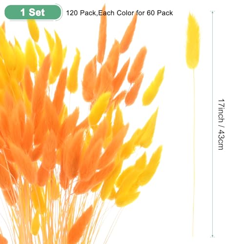 M METERXITY 120-Pack Bunny Tails Grass 17 Inch Fluffy Rabbit Tail Grass Dried Flowers Branches Vase Filler Dried Pampas Grass Decor for Home/Wedding/Vase/Office/Party [Orange, Golden Yellow] - color: Orange, Golden Yellow