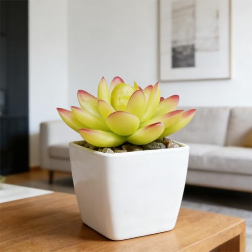 Artificial Succulent Plants in Pot - 1Pcs 5-Horned Lotus Yellow Realistic Fake Potted Succulents for Home Decor, Desk, Office, Bathroom, Windowsill - Indoor Houseplant for Bedroom, Kitchen, Shelf - color: 5-horned Lotus Yellow