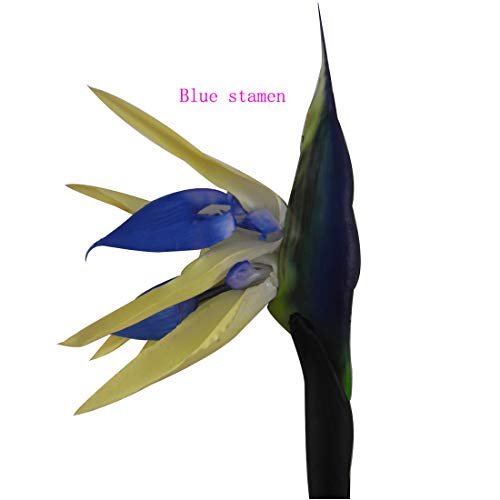 Calcifer 32'' Real Touch Bird of Paradise Artificial Flowers Bouquet for Home Garden Decoration/Wedding Party Decor (Package Quantity: 5 Stems Blue) - color: Package Quantity: 5 Stems Blue