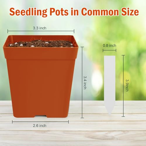 June Fox 100 Pack Red Square Nursery Pots with Drainage Holes 3.3 Inches Flexible Plastic Seedling Pots Square Pots for Plants, Succulent, Flower, with Plant Labels - color: Red