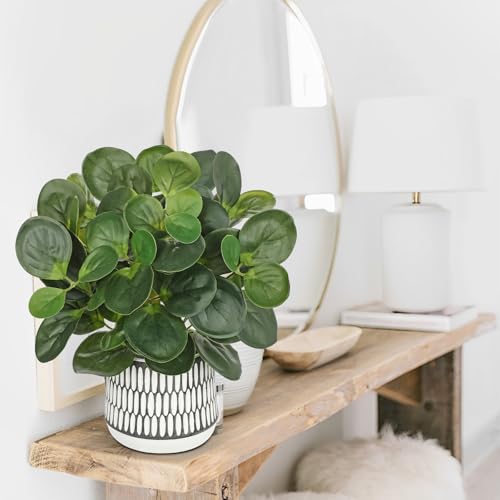 12" Artificial Plants Indoor Small Fake Plant in Ceramic Pot, Silk Plants for Home Decor Indoor, Faux Peperomia Potted Plant for Shelves, Desks, Home, Room, Office, Bedroom, Entryway, Tabletop Decor - color: #Green #4