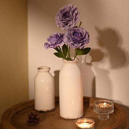 VICTOR & TERESA White Ceramic Vases Home Decor, Farmhouse Vase for Flowers, Flower Vase Set of 2, Rustic Decorative Vases for Pampas Grass, Table, Living Room, Shelf, Centerpieces, 8 inch - color: White