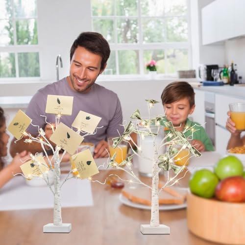 PEIDUO Set of 2 Money Trees, Lighted 22Inch 24LT White Birth Tree with Clips and Greeting Cards, Gift Card Holder for Birthday,Christmas, Wedding, Father's Day Graduation Gifts, Money Tree Gift Holder - style: 2PK Money Tree