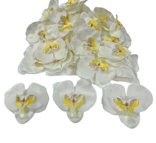 Corkwaw 50 Pcs Orchid Petals Artificial Decorations Orchids Heads Flowers Faux Silk Phalaenopsis Butterfly Flower Heads for Handmade DIY Home Wedding Party Decoration (White) - color: White