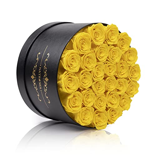NATROSES Gifts for Her 27 Piece Forever Preserved Roses in a Box, Preserved Flowers for Delivery Birthday, Flowers Gifts for Mothers Day, Yellow - color: Yellow, size: 27 Roses