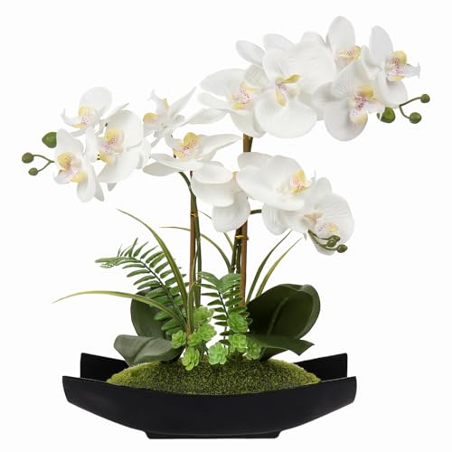 Briful Orchid Artificial Flowers 15in White Fake Orchid Silk Flowers with Black Pot Faux Phalaenopsis Arrangement for Home Office Room Table Centerpiece Modern Decor - color: Black White