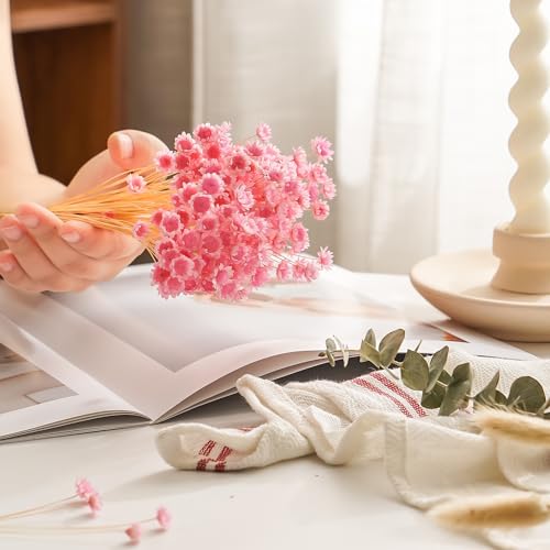 Natural - Dried - Flowers Brazilian Small Star Daisy Dried Decorative Mini Chamomile Bouquet for Wedding Floral Arrangements Home Decorations Valentine's Day Gifts (200 Stems) (Pink) - color: Pink