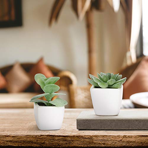 MyGift Set of 4 Mini Assorted Green Decorative Artificial Succulent Plants in Square White Glazed Ceramic Planter Pots - color: Assortment #3