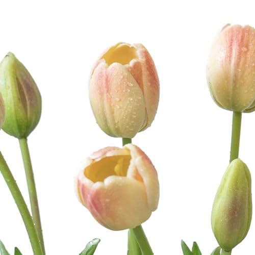 DUYONE 15Pcs Artificial Tulips Flowers, Soft Touch Realistic Latex Tulips Bouquet for Home Office Wedding Party Garden Decor, Fake Flowers for Dining Table Living Room Spring-B Pink Champagne - color: B Style-15pcs Pink Champagne(no Vase)