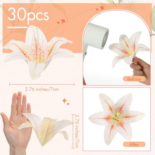 Suncalla 30 Pack Large Artificial Lilies Flower Heads with Realistic Stamens 5.9" Faux Fake Lily Flower Heads Bulk for DIY Crafts Cake Wedding Bridal Wreaths Table Home Party Decor (Light Bean Paste) - color: Light Bean Paste