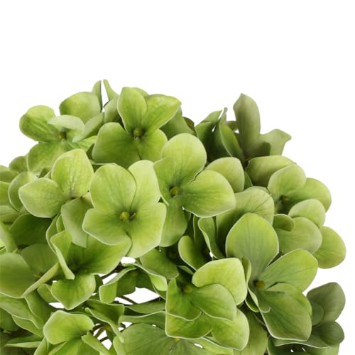 DILATATA Faux Hydrangea Large Artificial Green Hydrangea Flowers 26" Real Touch Hydrangea Flowers Lifelike Silk Hydrangea Stems for Wedding Party Garden Home Decor-Green Flowers 3PCS - color: Green #3, size: 3PCS