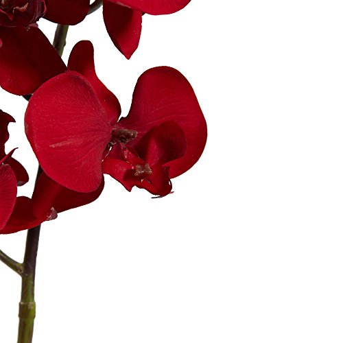 Nearly Natural 36” Christmas Phalaenopsis Orchid Flower (Set of 4) Artificial Plant, Red