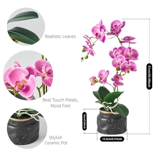Avoeco Artificial Real Touch Orchid Plant – 20″ Faux Phalaenopsis in Pot – Highly Realistic Silk Orchid Flower & Leaf Texture for Home, Office,Shop & Wedding Décor (Fuchsia, 20”) - color: Fuchsia, size: 20”