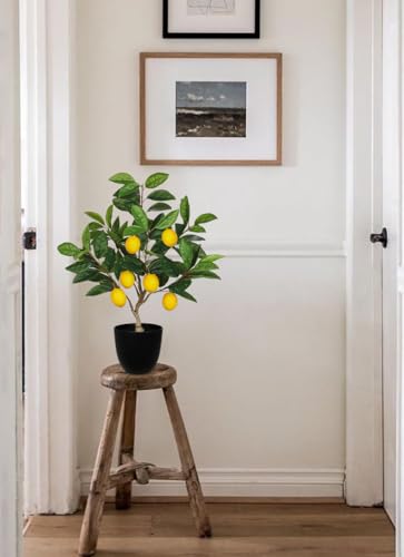 Artificial Potted Plants 19.7 inches Small Fake Lemon Tree Artificial Lemons Citrus Tree with Black Pot Faux Plants Indoor Lemon Decorations for Home,Office, Living Room Table, Desk - style: Plastic Pot