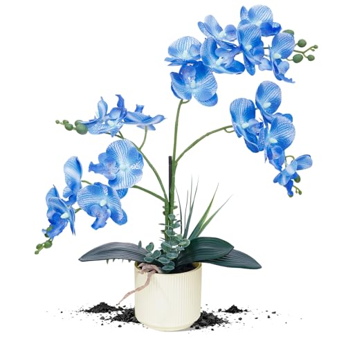 ucky Blue 15.7" 3D Lifelike Artificial Orchid Plant with 20 Heads, Realistic Faux Phalaenopsis in Ceramic Pot for Home Decor, Elegant Fake Flower Arrangement Table Centerpiece - color: Blue