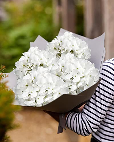 DILATATA Artificial Hydrangeas Tall Artificial Hydrangea Stems 26" Faux Hydrangea Silk Flowers Fake Hydrangea Resuable for Party,Home,Office Decor, Artificial Flower Perfect for Wedding Decor Gift-3 - color: White #3, size: 3PCS