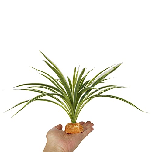 Artificial Spider Plants, Reptile Terrarium Decor, Bearded Dragon Tank Accessories fit Crested Gecko Leopard Lizard Chameleon Ball Python Snake Frog - color: B-artificial Spider Plants