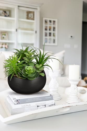 Hollyone Fake Plants Artificial Succulents in Pots Faux Succulent Arrangement Potted Plant in Black Ceramic Planter Bowl for Home Decor Office Desk Bathroom Shelf Living Room Indoor Decorations - color: Premium Black