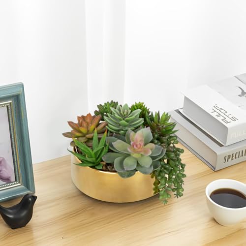 DILATATA Artificial Succulent Plants in Pot 5.5 Inch Fake Succulents Arrangement Potted Plant in Gold Ceramic Planter Bowl for Home Office Desk Shelf Living Room Bedroom Bathroom Decor - color: Gold Ceramic#style 2