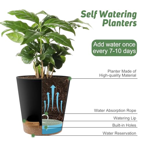 YNNICO 8-Inch Plant Pots, Self-Watering Planters with Drainage Holes & Saucers for Indoor and Outdoor Plants (2-Pack,Black) - color: Black, size: 8 inch