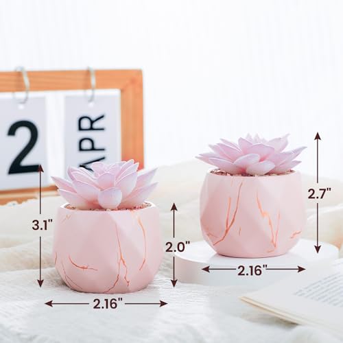 ZENIDA Artificial Succulent Plants in 2 Pink Ceramic Pots, Cute Fake Plants for Vanity Decor,Office, Desk, Bathroom, Kitchen,Bedroom, Shelves Decor for Women,Girls Gift - color: Pink