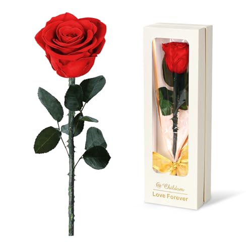 Childom Mothers Day Rose Gifts for Mom,Birthday Gifts for Women,Mothers Day Flowers Gifts for Mom from Daughter Son,Preserved Red Rose Flower Gift for Her,Wife,Grandma,Women,Christmas,Anniversary - color: Preserved Red Rose