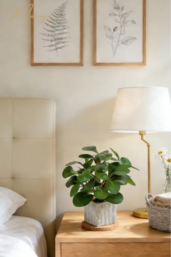 Muhanjia Artificial Potted Plant, Lifelike Faux Greenery in Decorative Cement-Look Square Pot for Indoor Home Decor Centerpieces (Peperomia) - color: Peperomia