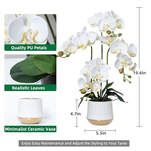 Artificial Orchid Flowers in Ceramic Vase Realistic White Faux Orchids 19.5 Inch Fake Phalaenopsis Plant Arrangements for Home Indoor Centerpiece Decor (Set of 4 Stems) - color: White, size: 14CM- WhiteGolden