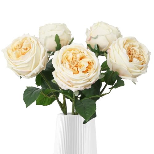 IPOPU 5PCS Real Touch Austin Roses Champagne Flowers Peony Artificial Flowers Fake Roses with Stems for Wedding Bouquet Party Home Decor(Champagne) - color: Champagne