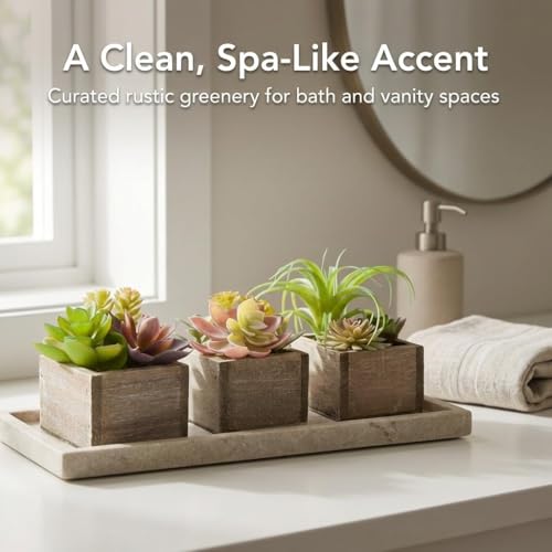 Artificial Succulents Indoor, Set of 3 Mini Potted Greenery in Rustic Wood Planters, Tabletop Accent for Office, Bathroom Shelf, Home Decor - color: Organic