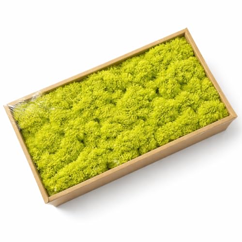 Preserved Reindeer Moss, 17.64oz Natural Decorative for Home Decor, DIY Crafts, Moss Wall Art, Terrariums, Floral Arrangements, Wedding & Holiday Decorations (Fruit Green) - color: Fruit Green