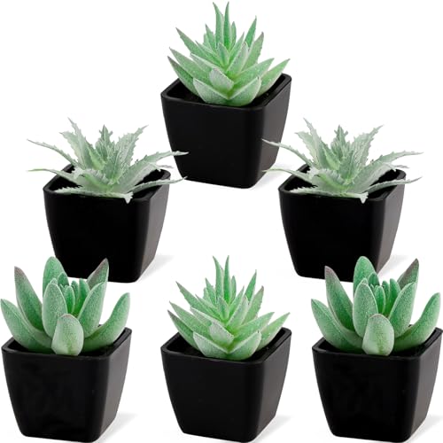 Woration 6pcs Faux Artificial Mini Flocking Succulent Plants in White Pots Fake Plastic Plants Topiaries for Shelf Table Windowsills Office Home Green Decoration - color: 6 Pack 3 Style Black