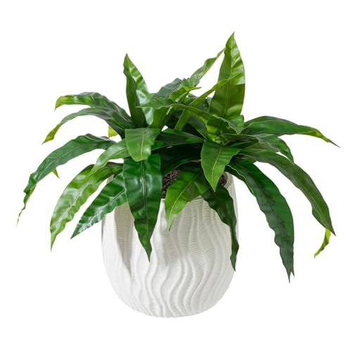 ucky 19.5" Artificial Dracaena Leaves Branches (20 Leaves, Bird’s Nest Fern), 3D Textured Faux Tropical Plant for Floor Vase, Large Home Decor - color: 2pcs Bird's Nest Fern, size: 20 Leaves