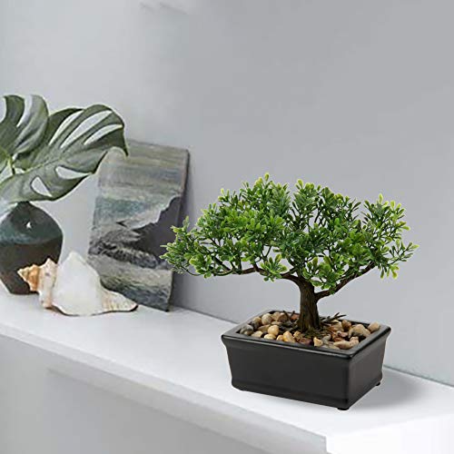 Artificial Bonsai Tree Juniper Faux Plants Indoor Small Fake Plants Decor with Ceramic Pots for Home Table Office Desk Bathroom Shelf Bedroom Living Room Farmhouse Decorations - style: 6" Ficus
