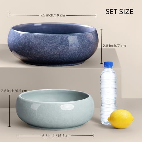2 Pack Lotus Bowl Planter, Large 7.5'' & Small 6.5'' Shallow Ceramic Water Planting Pot, Drainage-Free Hydroponic Bowl for Lotus Seeds, Ikebana, Succulents & Water Lilies (Sky&Star Series) - color: Sky & Star Series