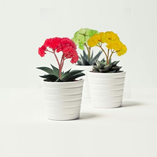 4PCS Artificial Succulent Flower, Plastic Plants Green Artificial Plants for Home Garden, Party, Bedroom Office Decorations, Wedding Decorations(Yellow) - color: Yellow, size: 4PCS
