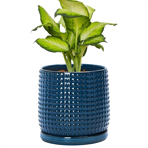 D'vine Dev 6 Inch Ceramic Beaded Stoneware Planter Pot - Flower Pot with Drainage Holes and Saucers for Indoor Succulent Plants or Flowers, Midnight Blue, 27-C-X-3 - color: Midnight Blue, size: 5.8 Inch