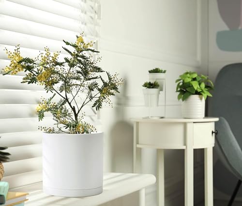 D'vine Dev 2 Pack 8 Inch Modern Plastic Plant Pots, Cylindrical Garden Planters for Plants with Drainage Holes and Saucers, White, 74-Z-M-1 - size: 8"