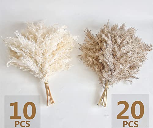 30 PCS Boho Decor, Fluffy Pompas Grass, Natural Dry Pampas Grass Small, Short Pampass Bulk for Boho Room, Coffee Table Decor (17 inch ) - size: 30PCS-Natural