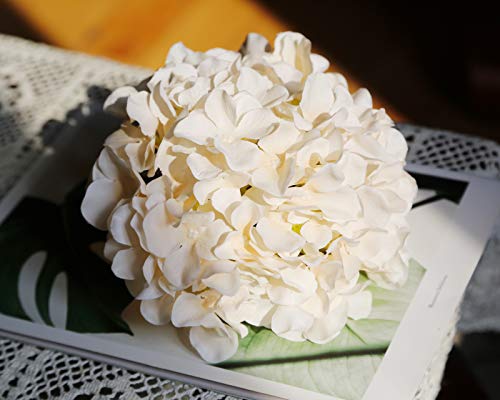 DuHouse Hydrangea Silk Flowers Large Artificial Flowers with Stem Fake Champagne Flower Heads for Wedding Centerpiece Home Decor Pack of 6 - color: Champagne