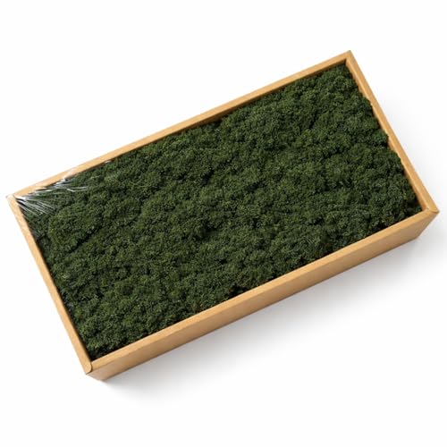 Preserved Reindeer Moss, 17.64oz Natural Decorative for Home Decor, DIY Crafts, Moss Wall Art, Terrariums, Floral Arrangements, Wedding & Holiday Decorations (Blackish Green) - color: Blackish Green