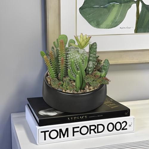 DILATATA Artificial Cactus Plants in Pot 5.5 Inch Fake Succulents Arrangement Potted Plant in Black Ceramic Planter Bowl for Home Office Desk Shelf Living Room Bedroom Bathroom Decor - color: Black Ceramic#style 1